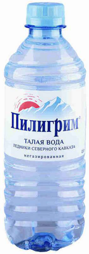 Пилигрим 0,5л б/г
